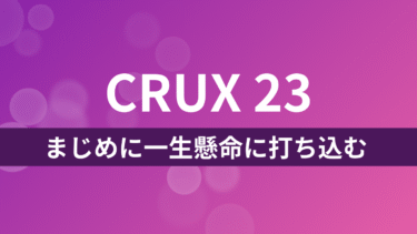 CRUX23